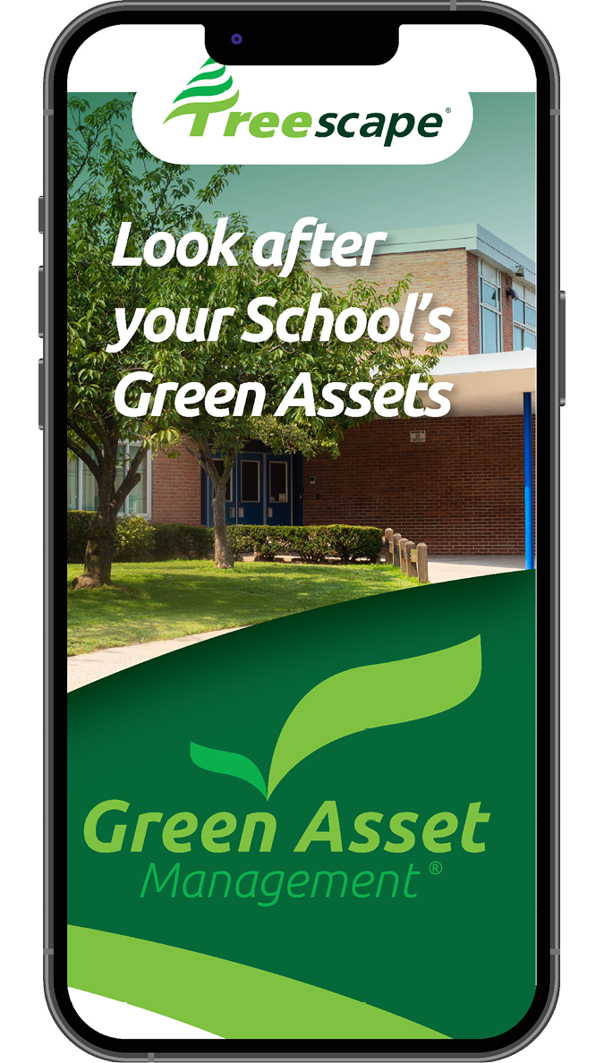 Treescape Green Asset Campaign | engaging - Data-driven B2B marketing